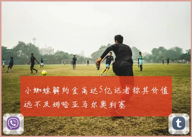 小蜘蛛解约金高达5亿记者称其价值远不及姆哈亚马尔奥利塞